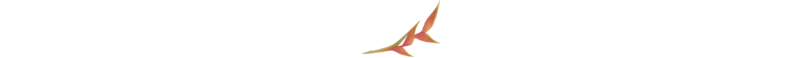 logo-2.png
